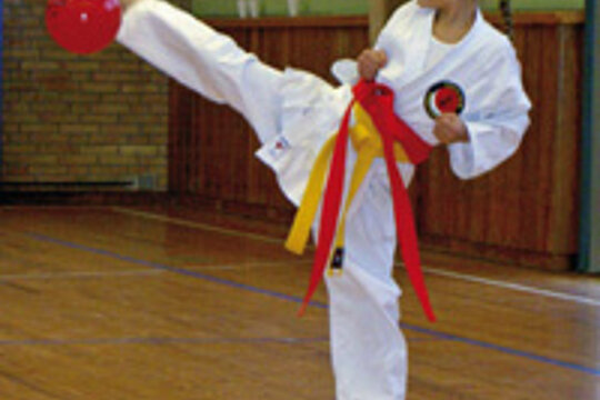 Karate, VfB Friedrichshafen
